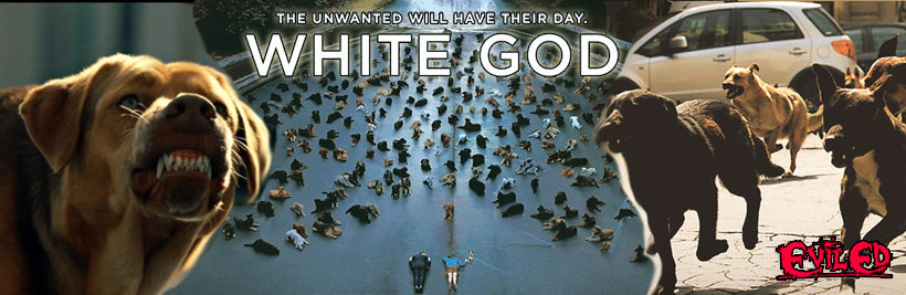 white god quer